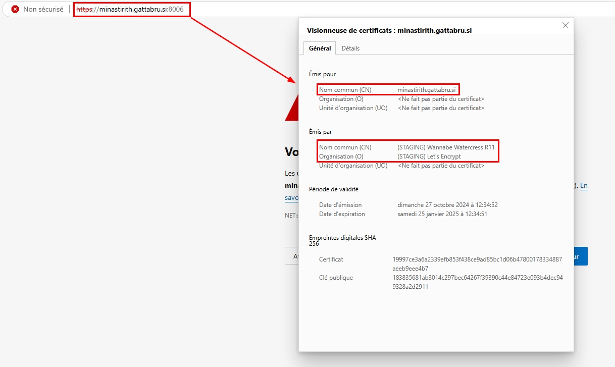 Proxmox ACME Staging Certificate